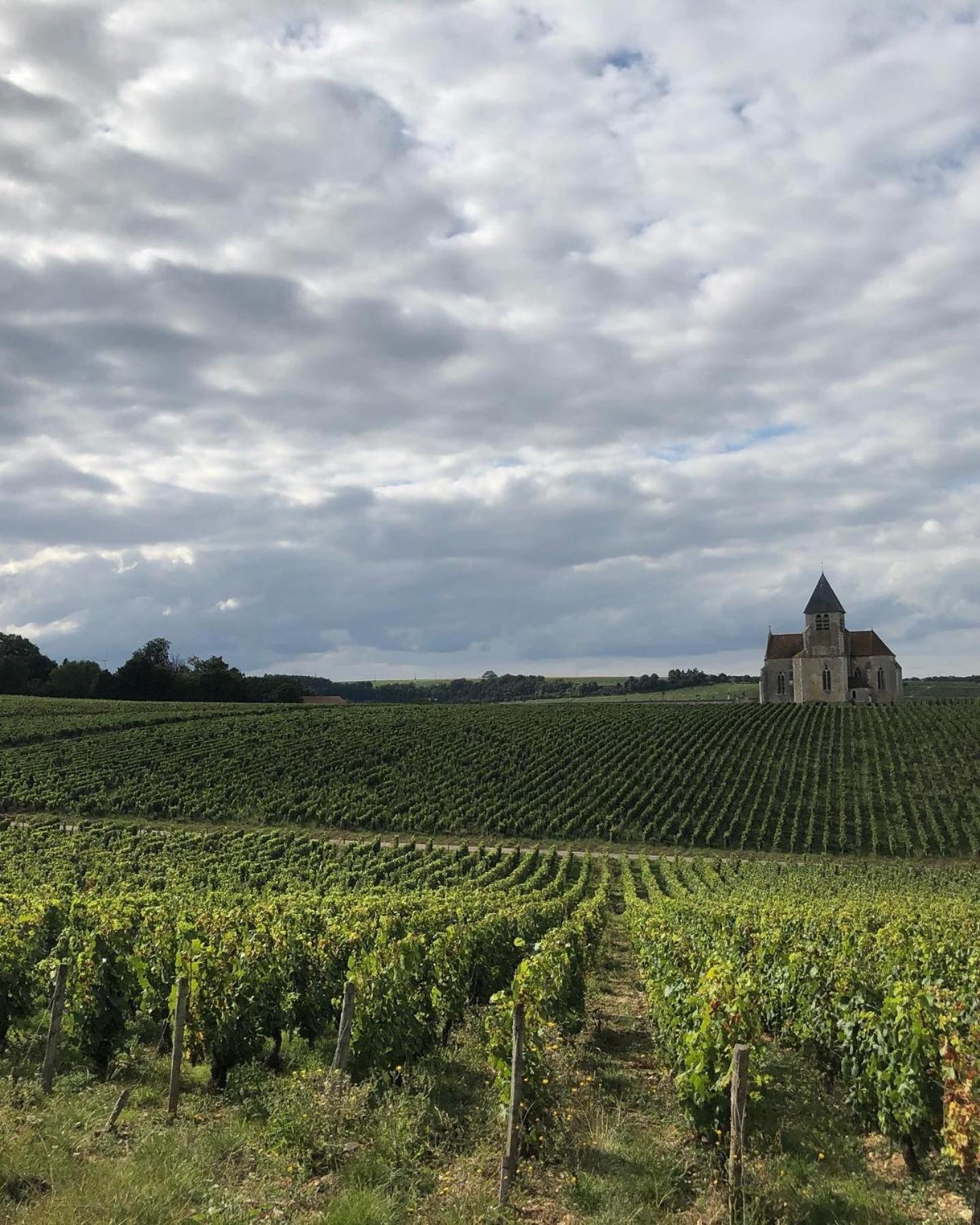 Maison De Pauline, Chablis Vineyard Prehy ห้อง รูปภาพ